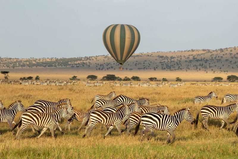 hot air balloon safaris