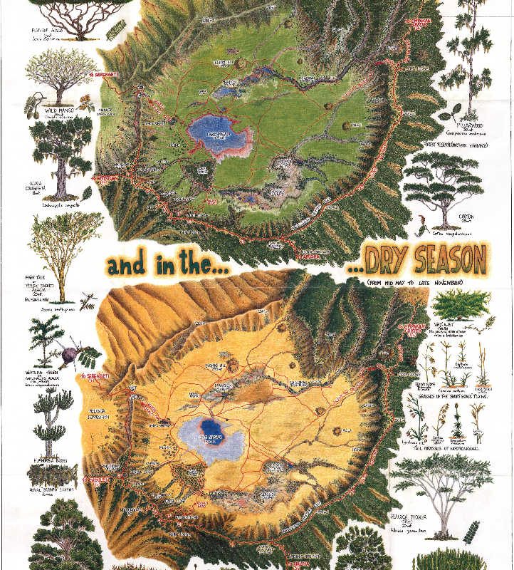 Aerial view of Ngorongoro Crater
