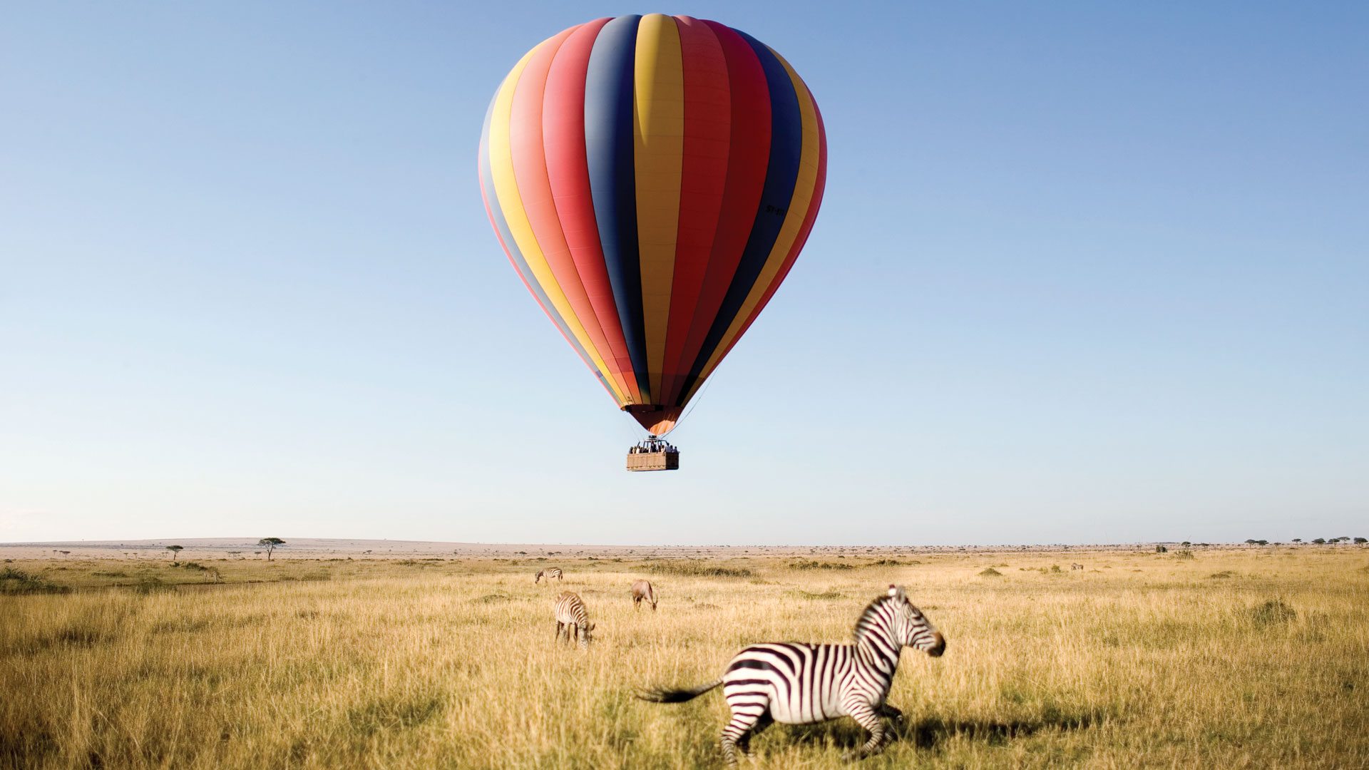 Hot Air Balloon Safari