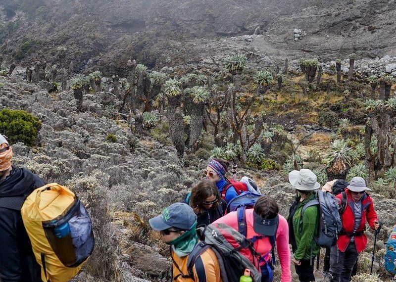 Lemosho Route vs Machame Route | Best Kilimanjaro Route Comparison Guide 4 Is It Worth Climbing in the Rainy Season
