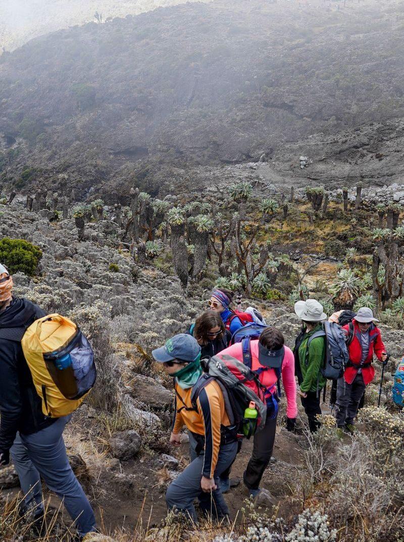 Climbing Mount Kilimanjaro During the Rainy Season | Complete Guide by Boko Explorers 3 Is It Worth Climbing in the Rainy Season