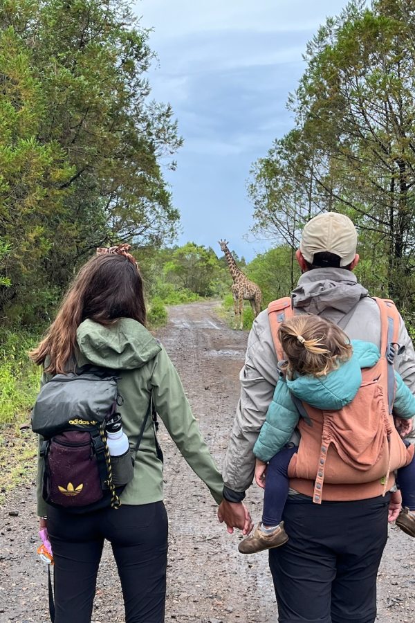Safari