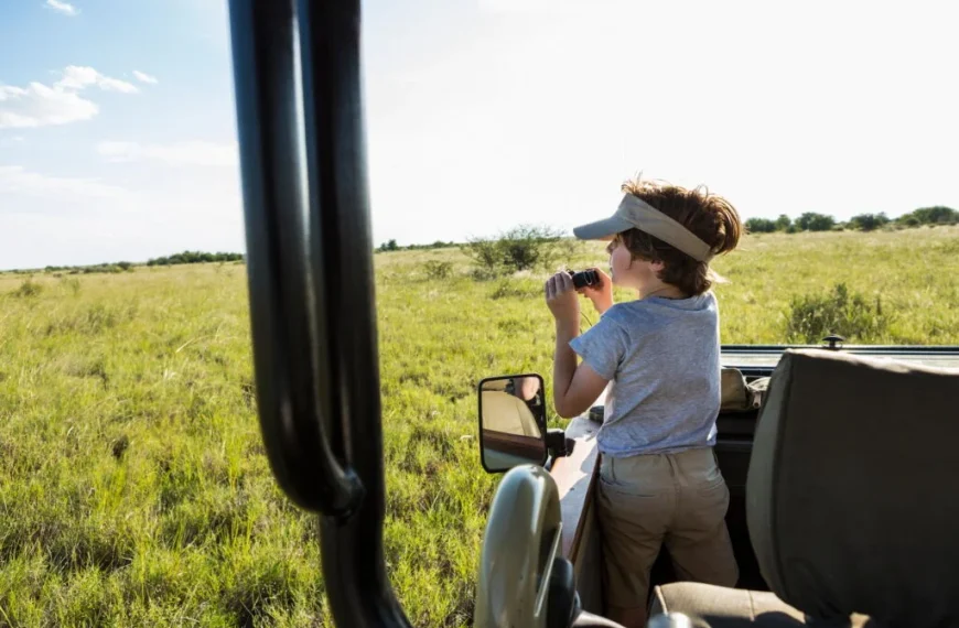 boy with binoculars in a safari vehicle