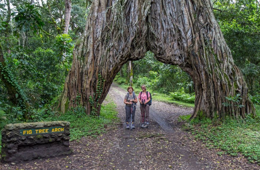 Hikers walking along Mount Meru trail through forest