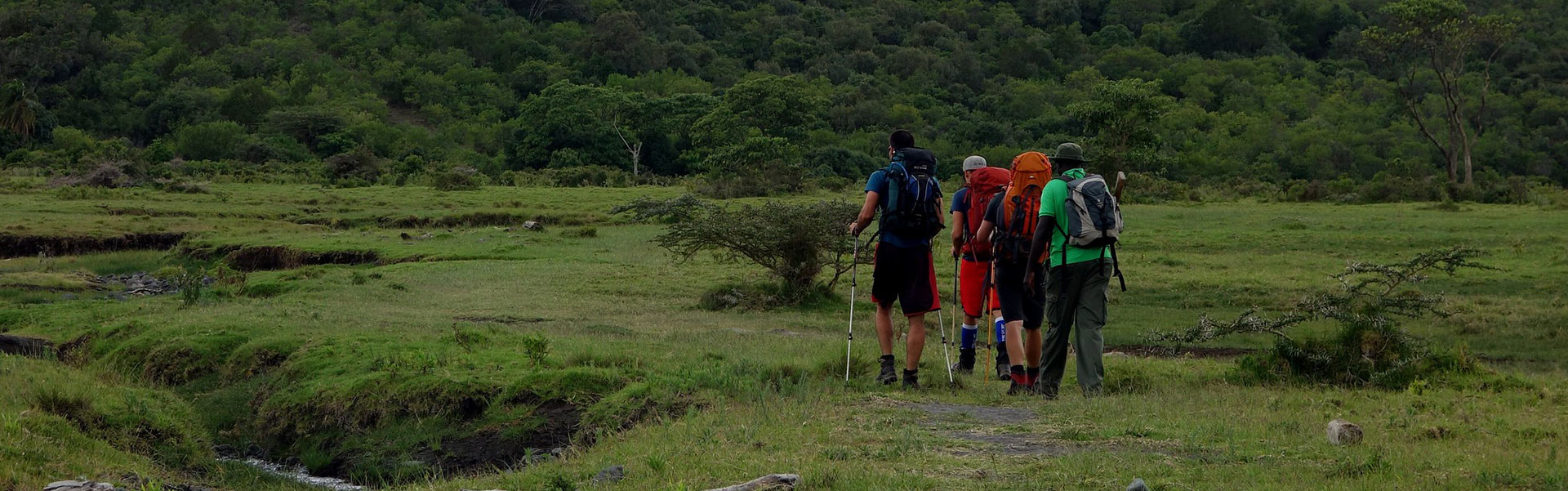Hikers walking along Mount Meru trail through forests