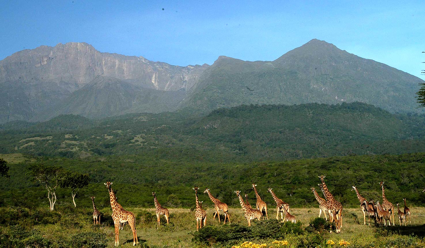 Home 110 Mount Meru Trek with Tanzania Safari