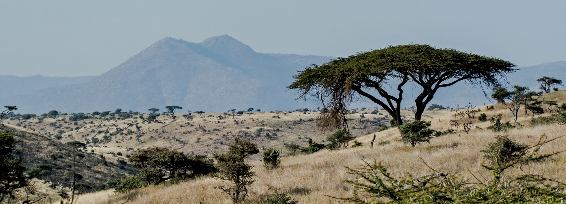 Mount Meru and safari landscape