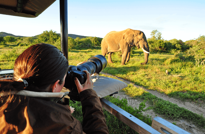 Photographic Safari in Tanzania | Ultimate Guide for Wildlife Photography 5 Photography Safari