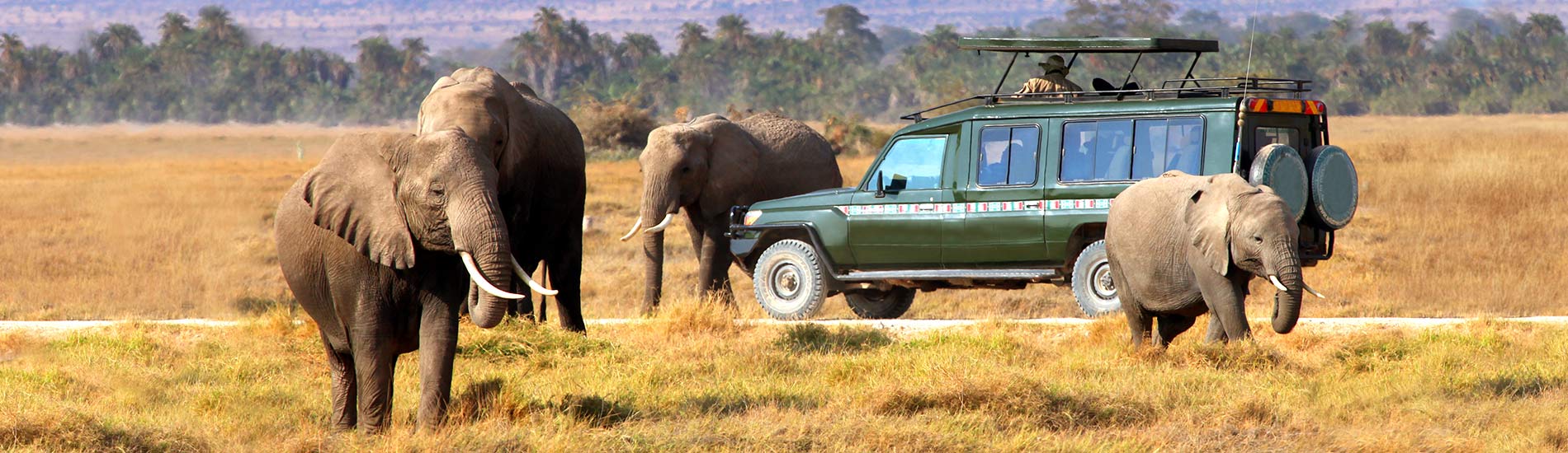 Private Safari Tanzania | Exclusive Tanzania Safari Experience with Boko Explorers 1 Private safari vehicle on African savannah