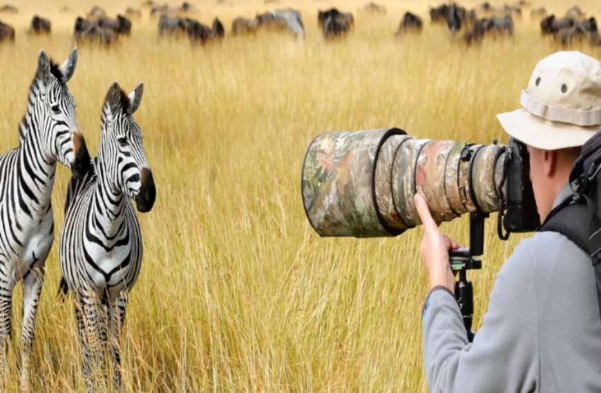 Photographic Safari in Tanzania | Ultimate Guide for Wildlife Photography 6 Safari Photography