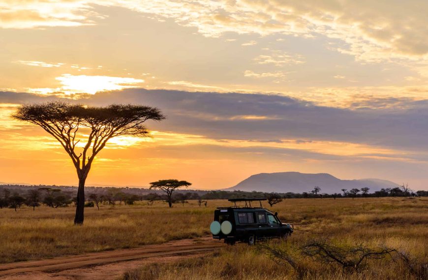 Best Tanzania Safari Packages for Every Budget | Affordable to Luxury Safaris 5 Safari vehicle driving in Serengeti during sunset