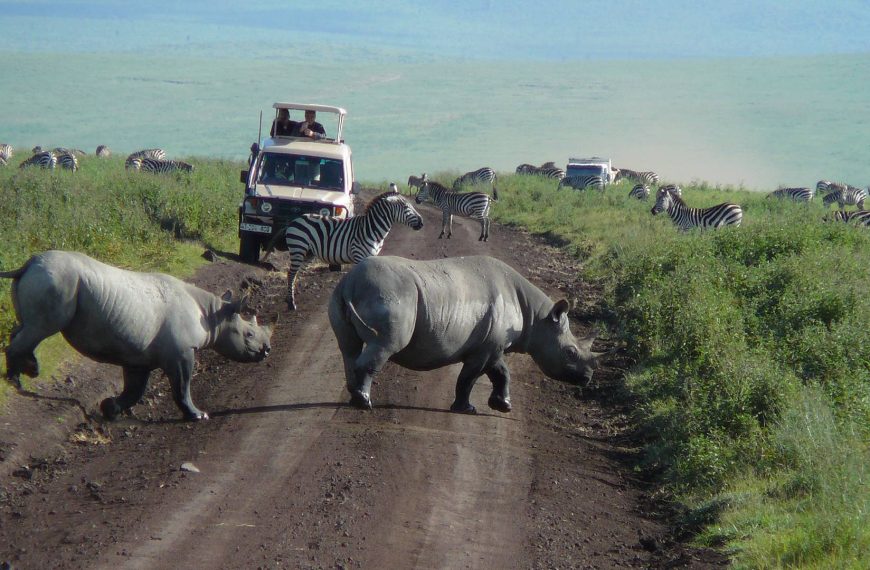Safari vehicle inside Ngorongoro Crater
