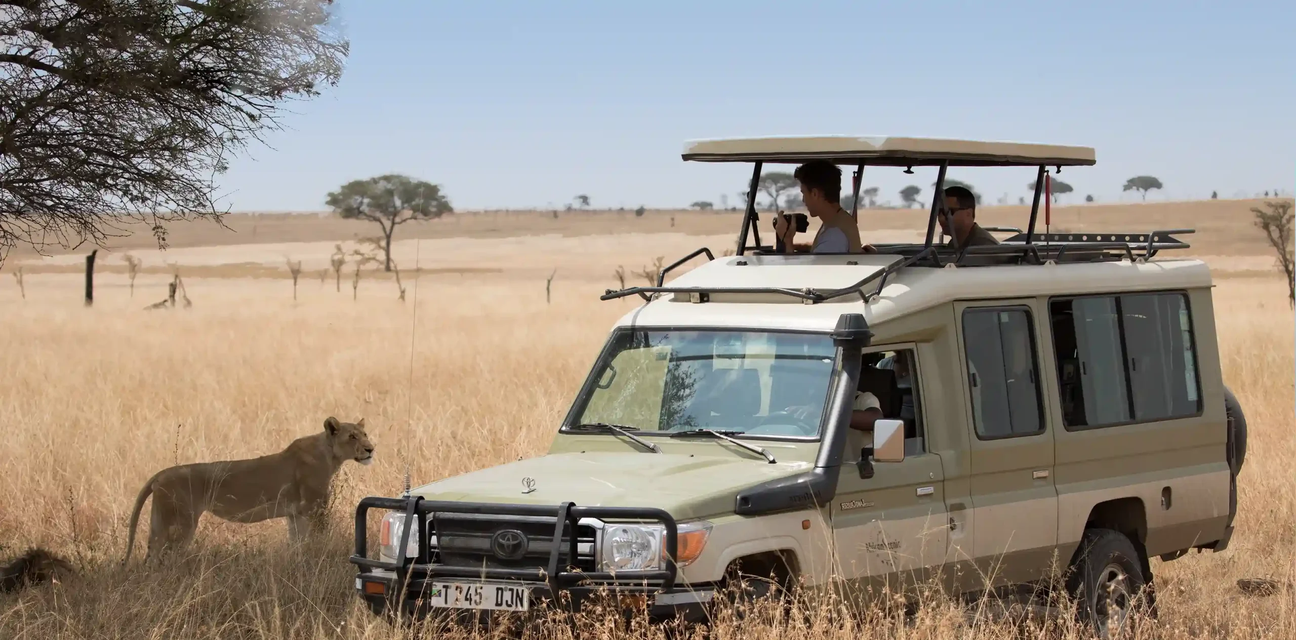 Safari vehicle with wildlife in Arusha region scaled
