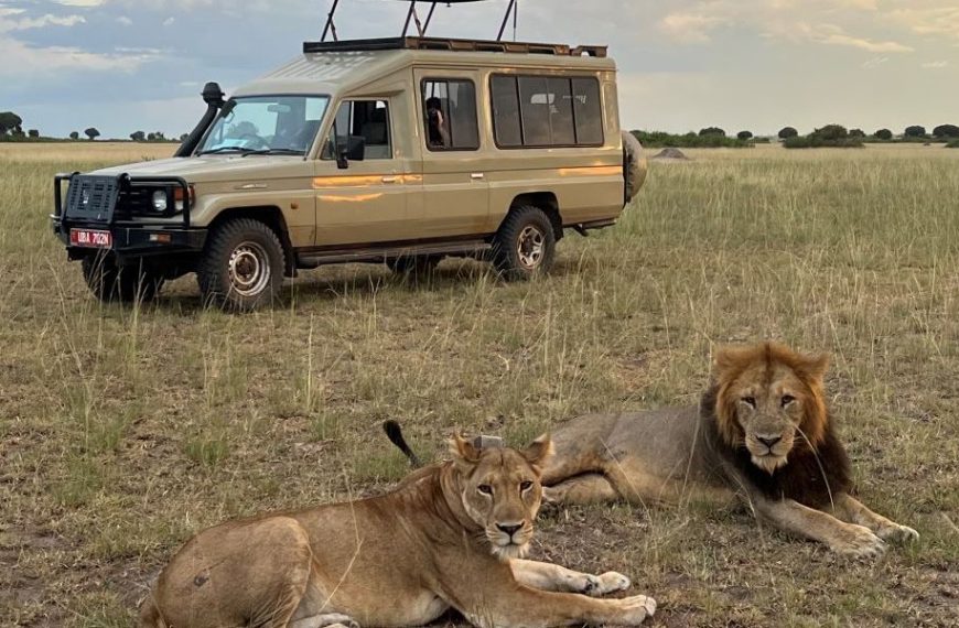 Tanzania Safari Cost Guide How Much Does a Tanzania Safari Cost 2