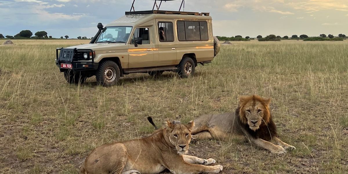 Tanzania Safari Cost Guide How Much Does a Tanzania Safari Cost 2