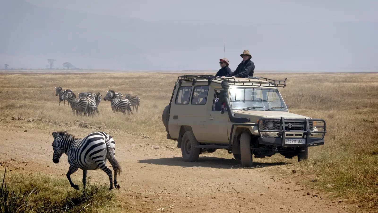 Tanzania safari landscape with wildlife and safari vehicle