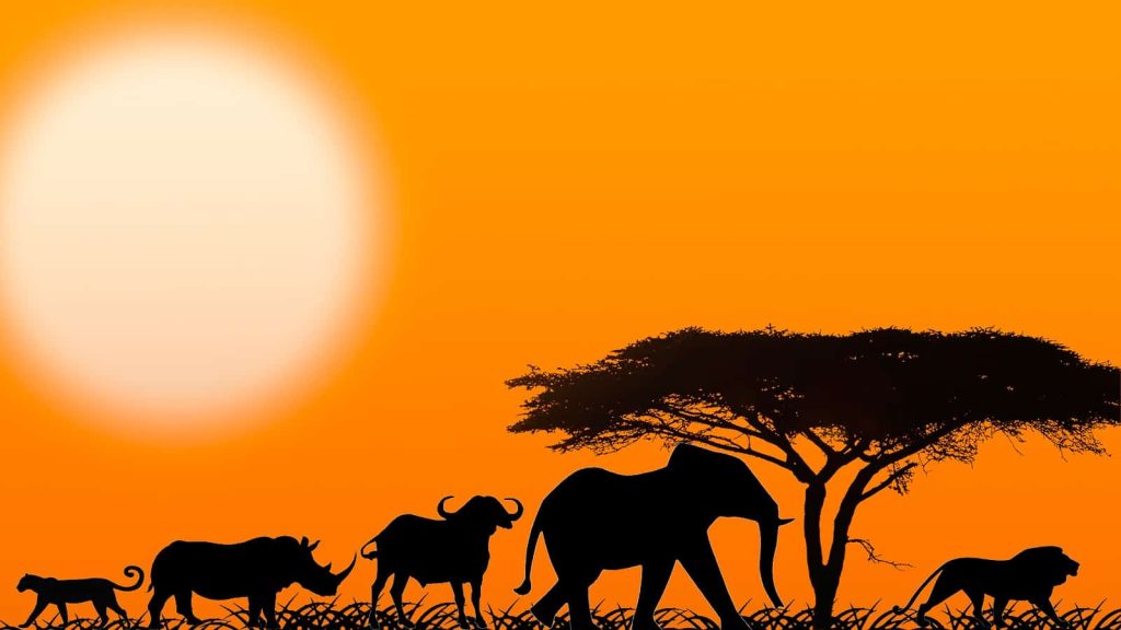 The Big Five Animals of Tanzania | Ultimate Safari Guide by Boko Explorers 31 The Big Five Animals of Tanzania | Ultimate Safari Guide by Boko Explorers