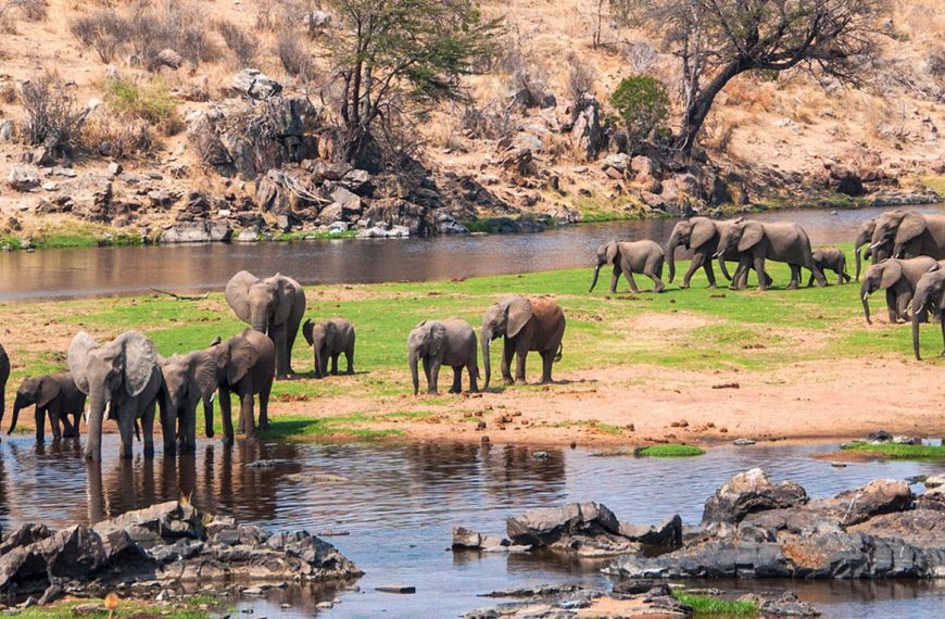 Wild landscape of Ruaha National Park