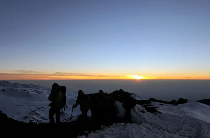 kilimanjaro northern circuit summit day