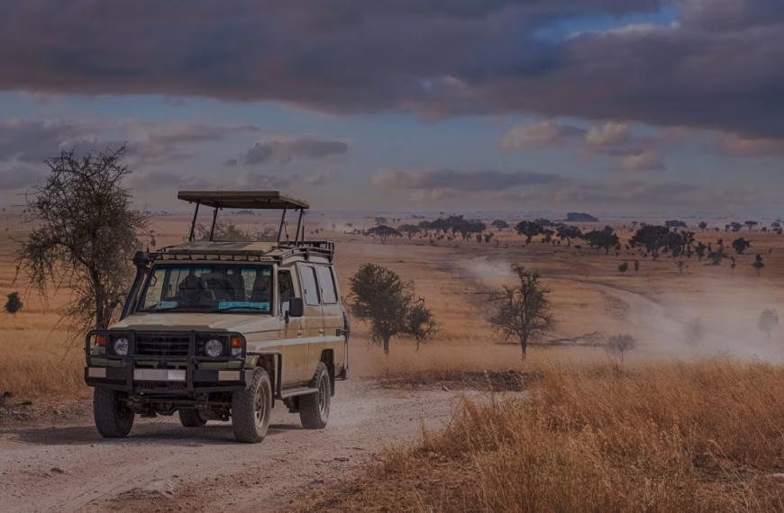 Private Safari Tanzania | Exclusive Tanzania Safari Experience with Boko Explorers 2 private