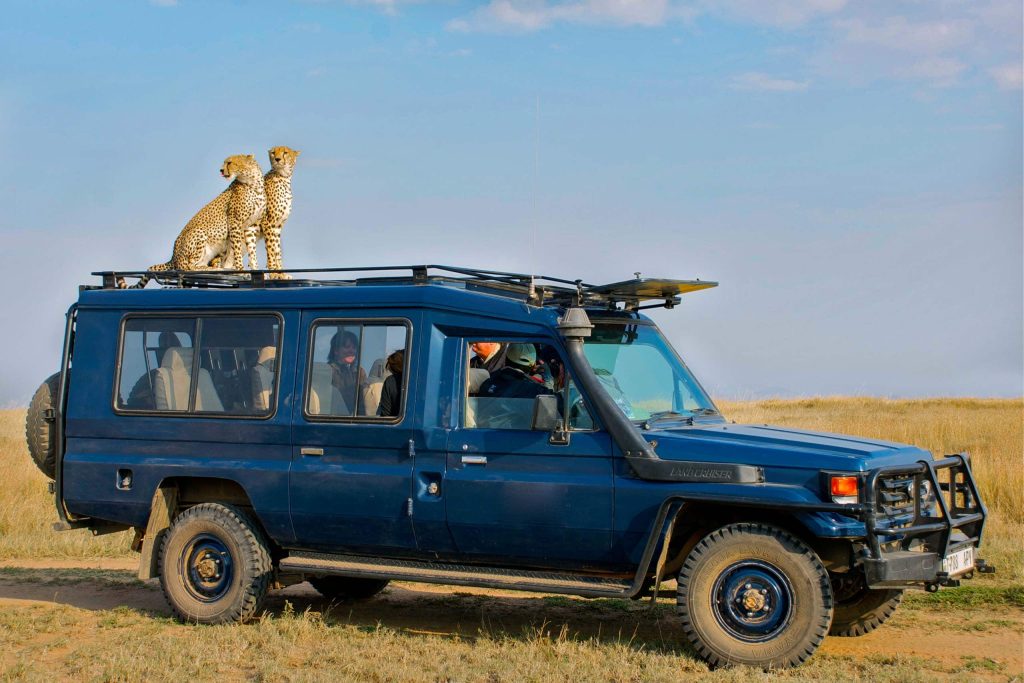 Safari Vehicles in Tanzania