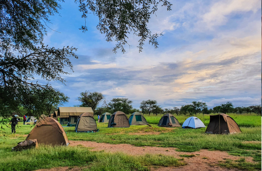 tanzania camping budget safari