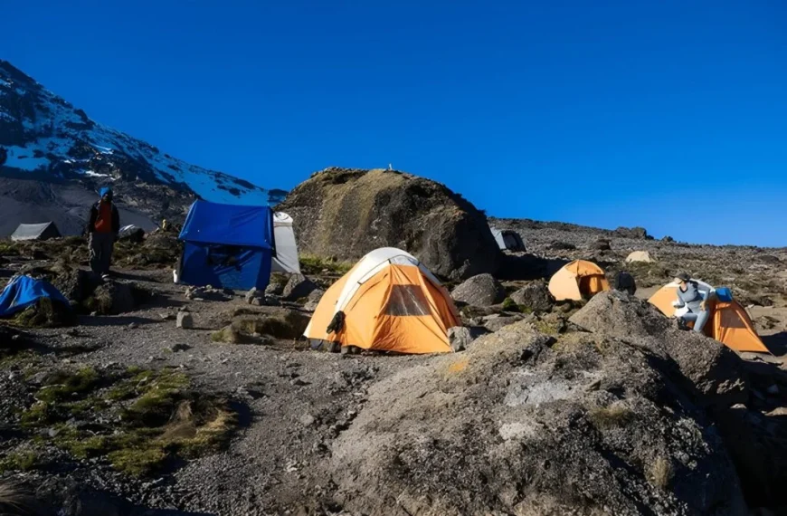 Busy Kilimanjaro camp