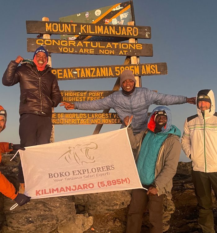 Best Time to Climb Mount Kilimanjaro